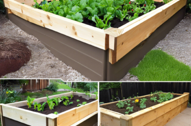 Weekend Project: Build a Raised Garden Bed